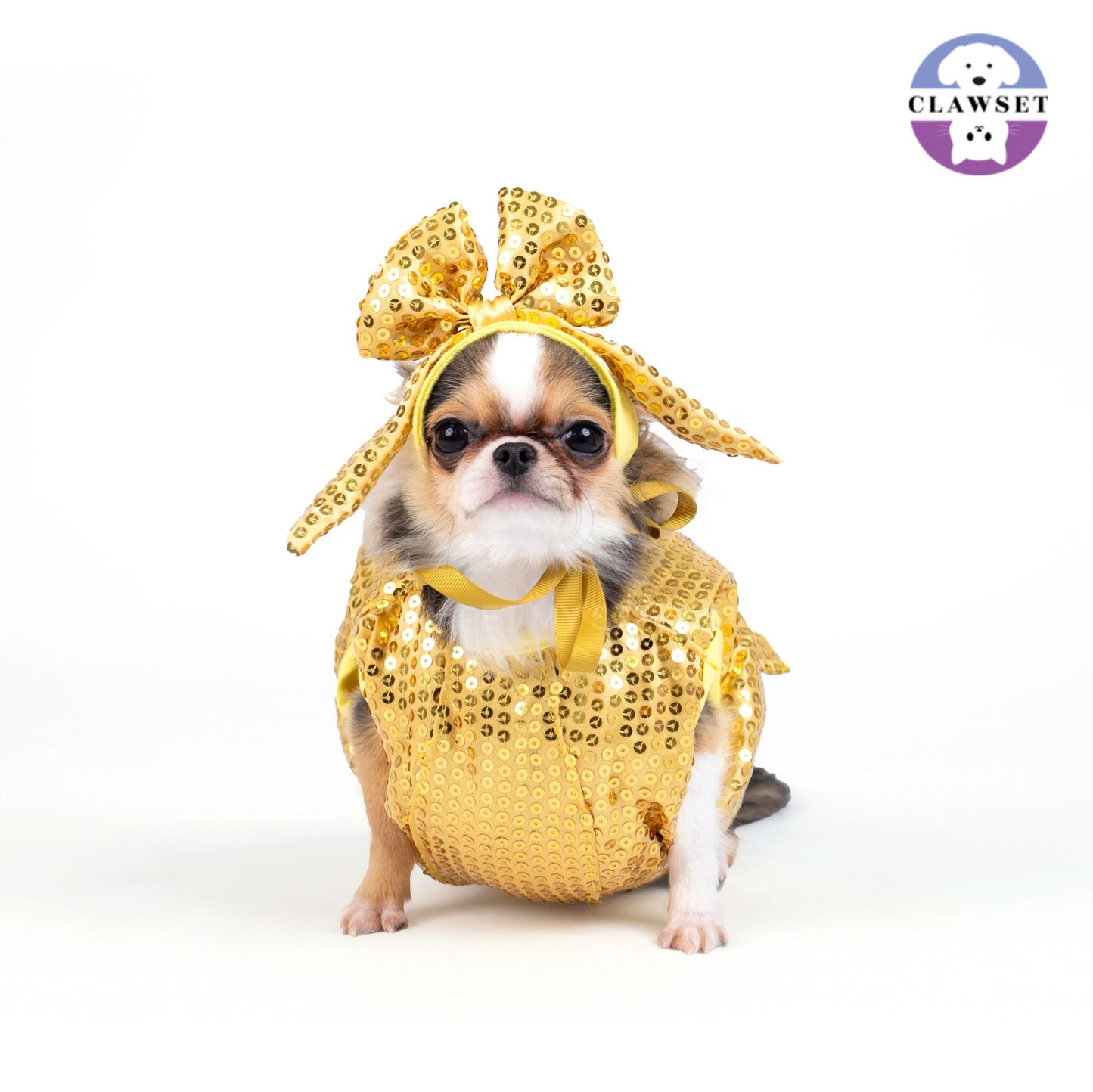 Clawset - Pet Costume - After Party - Disco Ball Gold