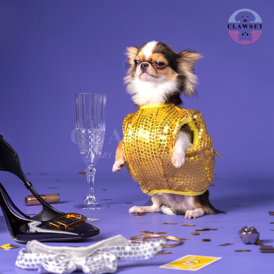 Clawset - Pet Costume - After Party - Disco Ball Gold