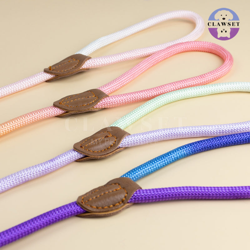Clawset - Pet Accessories - Training Leash Gradient - Purple (Ungu) Green (Hijau)
