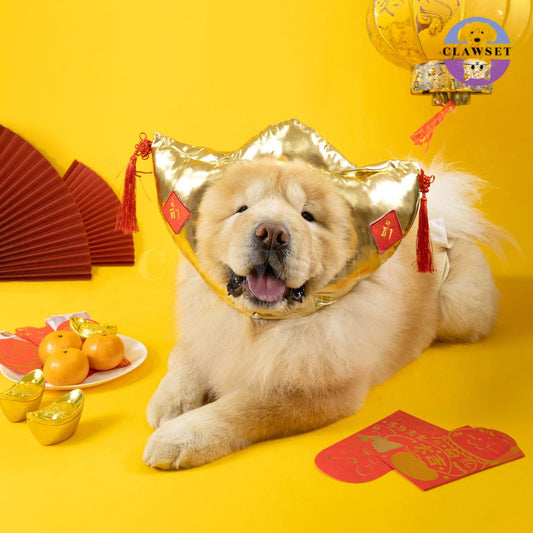 Clawset - Headware - Chinese New Year - Gold