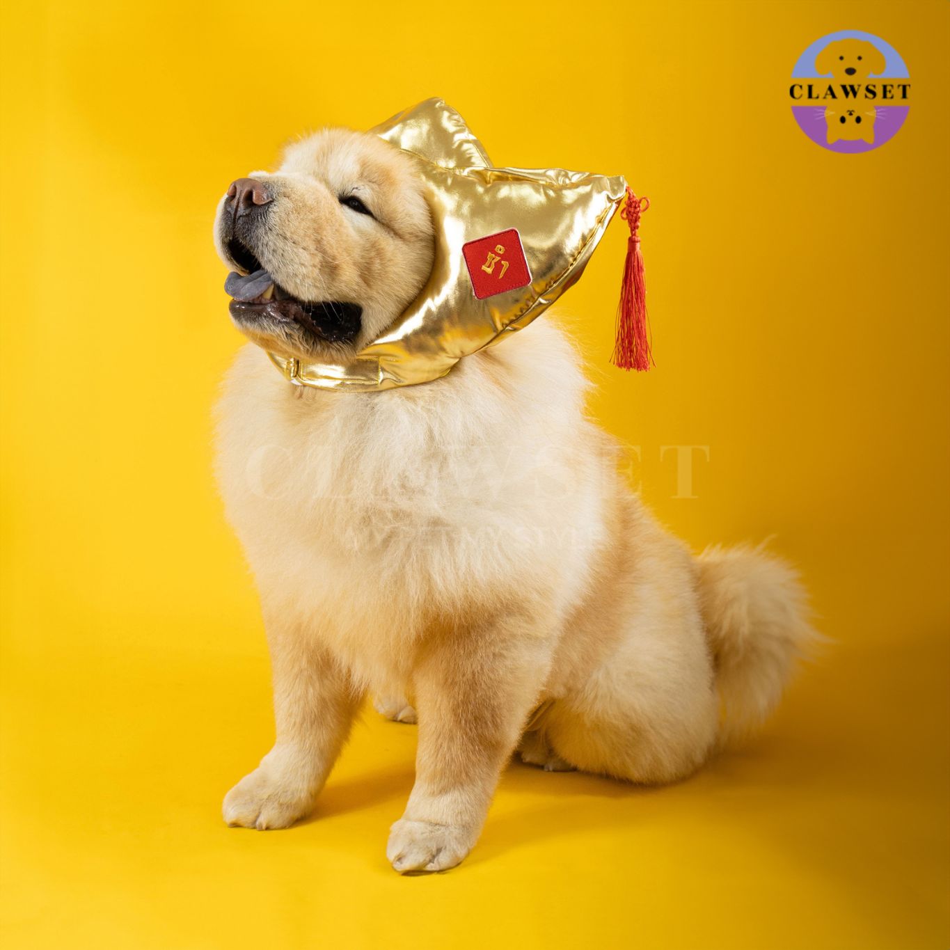 Clawset - Headware - Chinese New Year - Gold