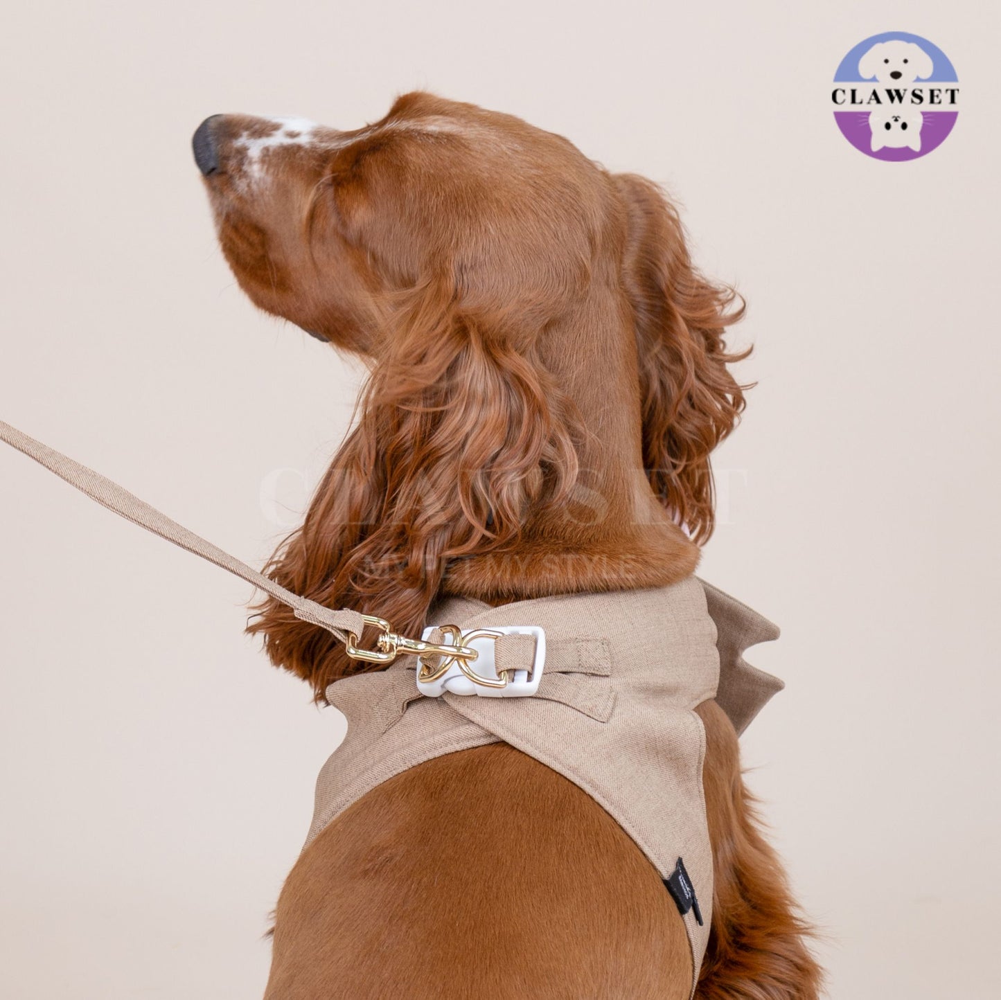 Clawset - Pet Fashion - Tuxedo Harness with Leash Set - Bride & Groom - Brown