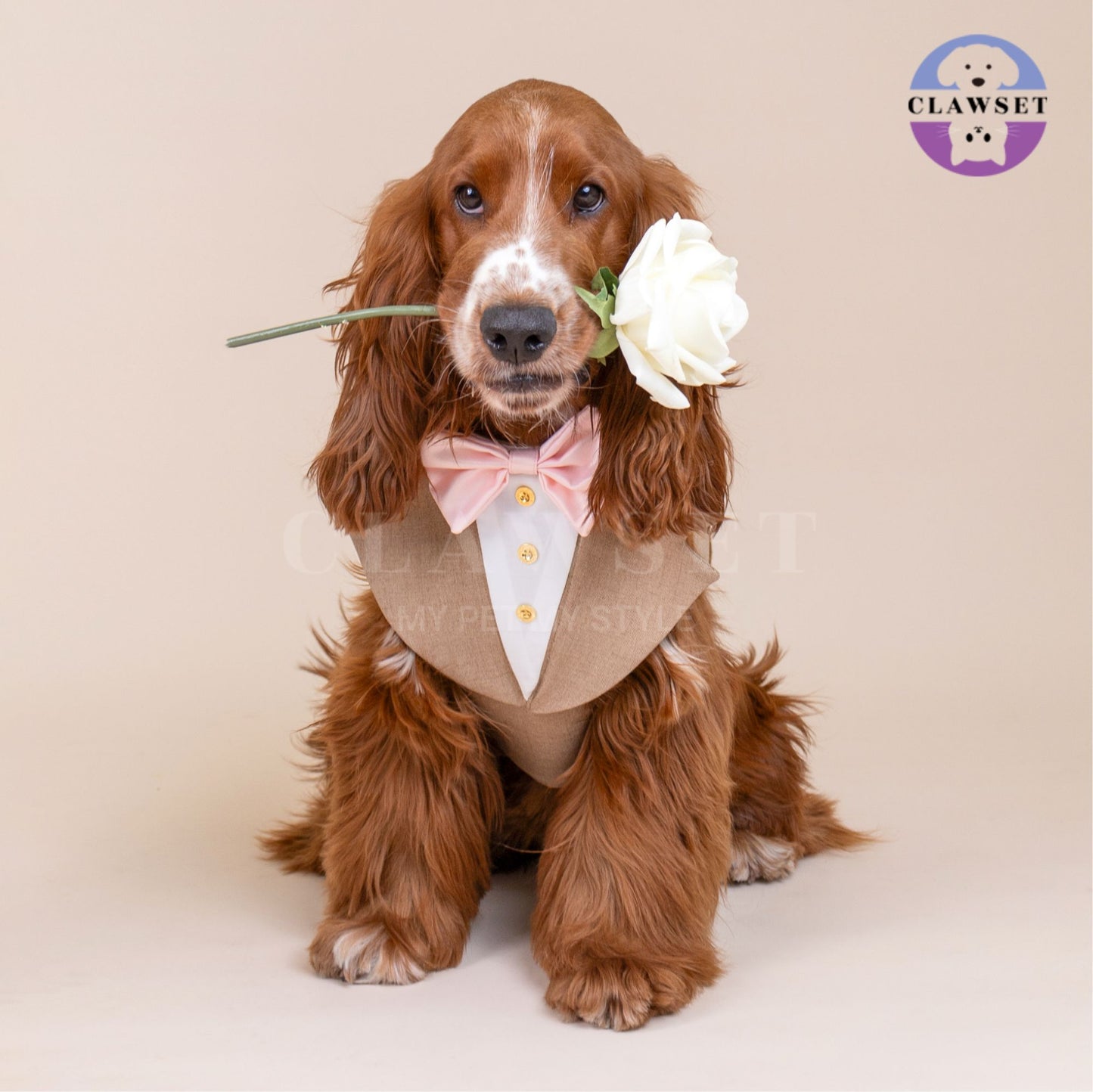 Clawset - Pet Fashion - Tuxedo Harness with Leash Set - Bride & Groom - Brown