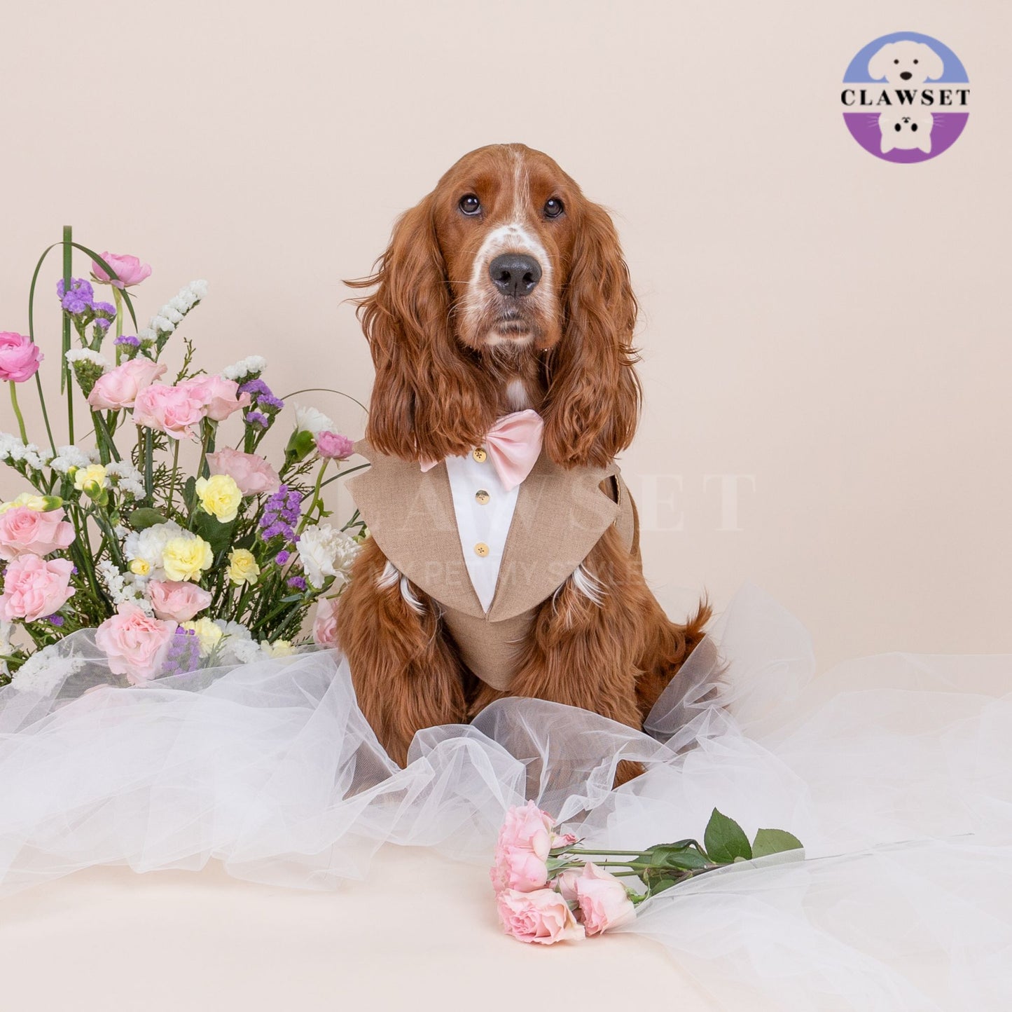 Clawset - Pet Fashion - Tuxedo Harness with Leash Set - Bride & Groom - Brown