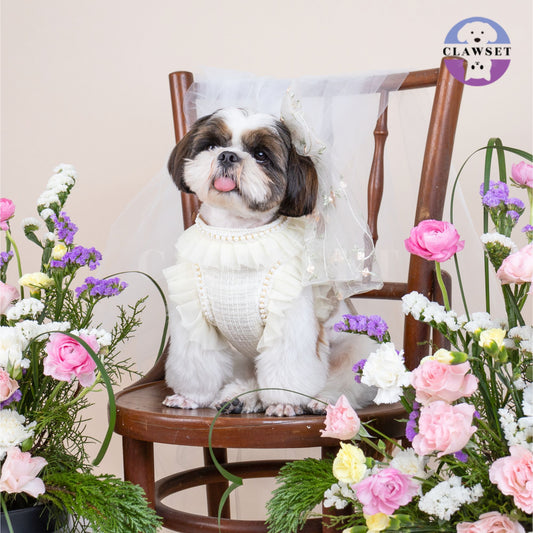 Clawset - Pet Fashion - Bride Ribbon Harness with Leash Set - Bride & Groom - Ivory