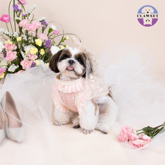 Clawset - Pet Fashion - Bride Ribbon Harness with Leash Set - Bride & Groom - Pink