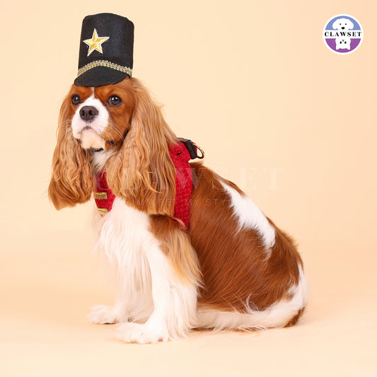 Clawset - Nutcracker Harness with leash set - Green & Red