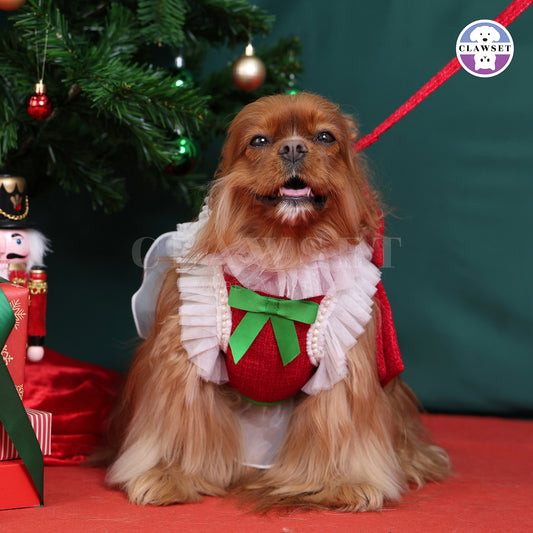 Clawset - Clara Harness with Leash Set  - Red