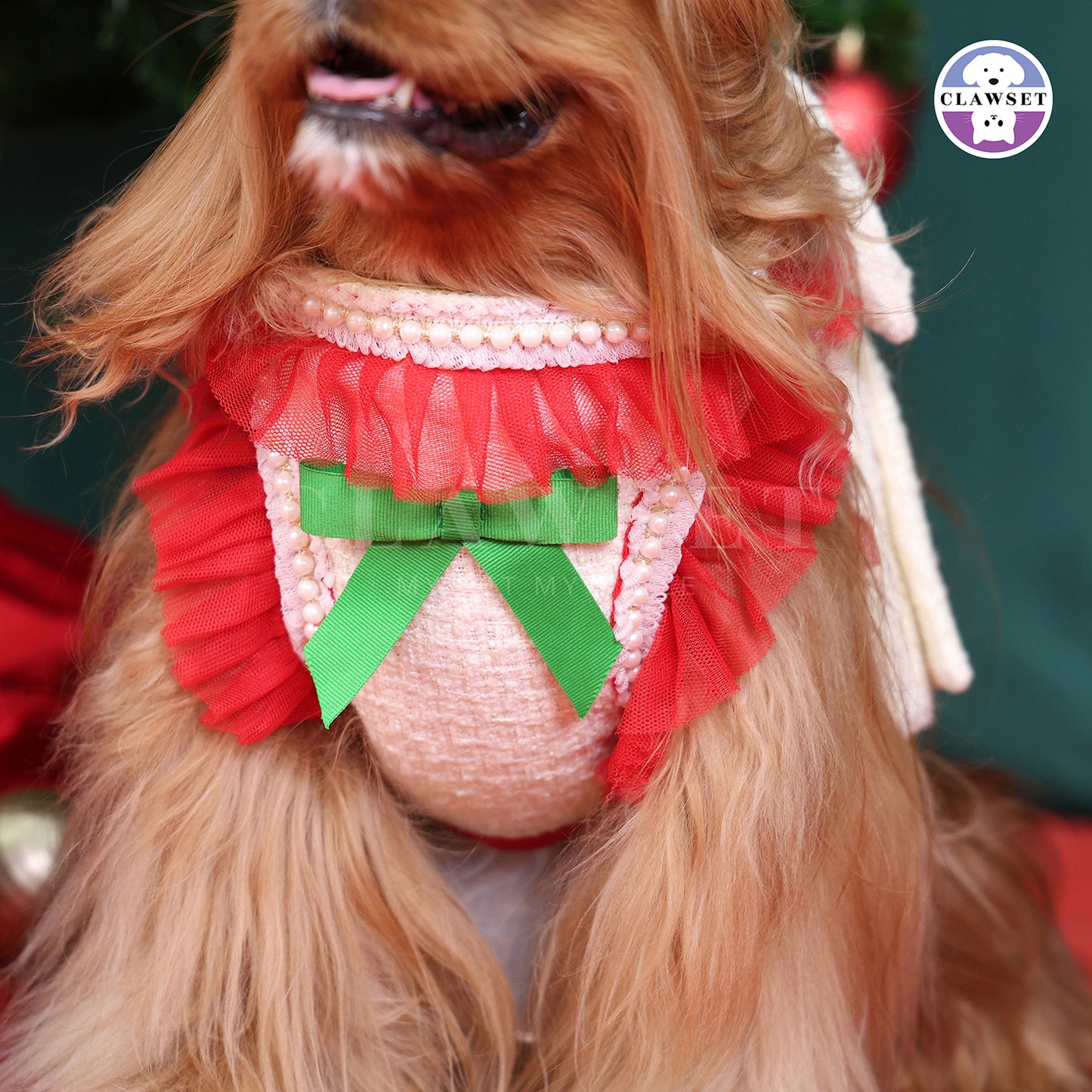 Clawset - Clara Harness with leash set  - White