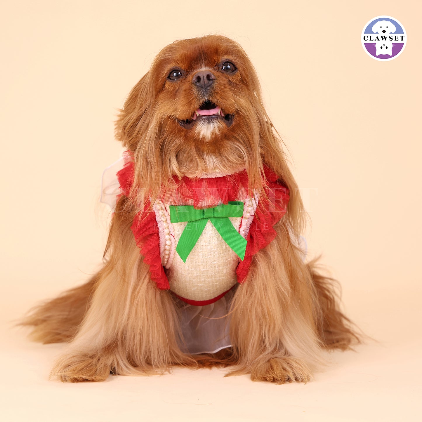 Clawset - Clara Harness with leash set  - White