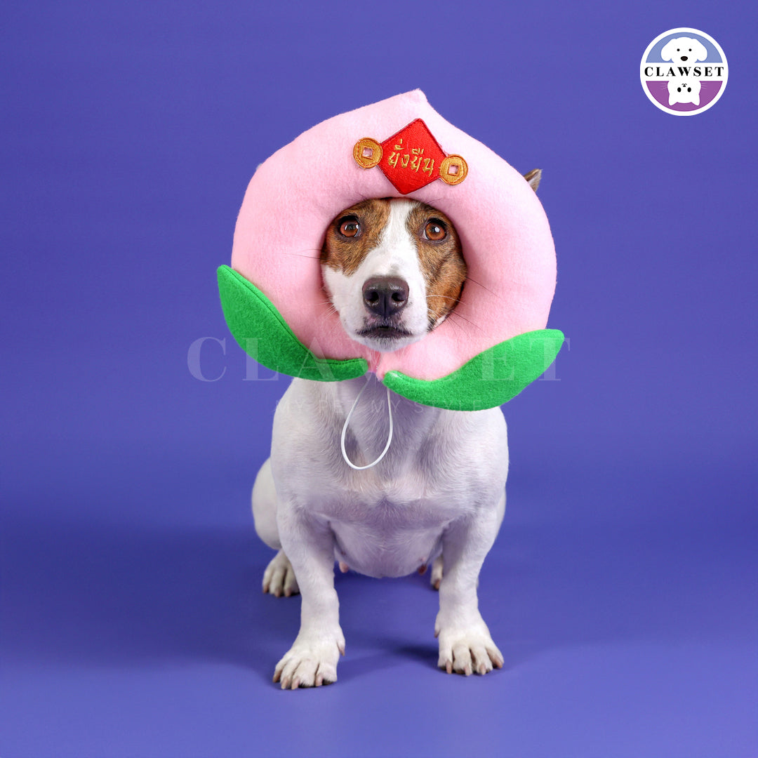 Clawset - Pet Headwear - Chinese New Year - Lotus