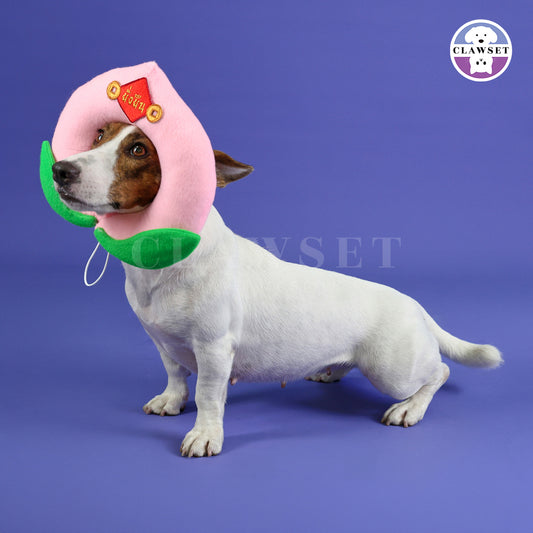 Clawset - Pet Headwear - Chinese New Year - Lotus