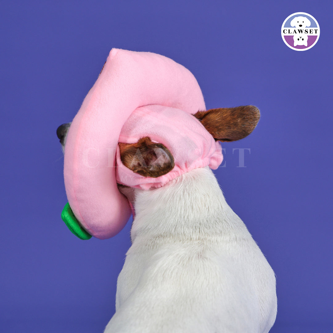 Clawset - Pet Headwear - Chinese New Year - Lotus