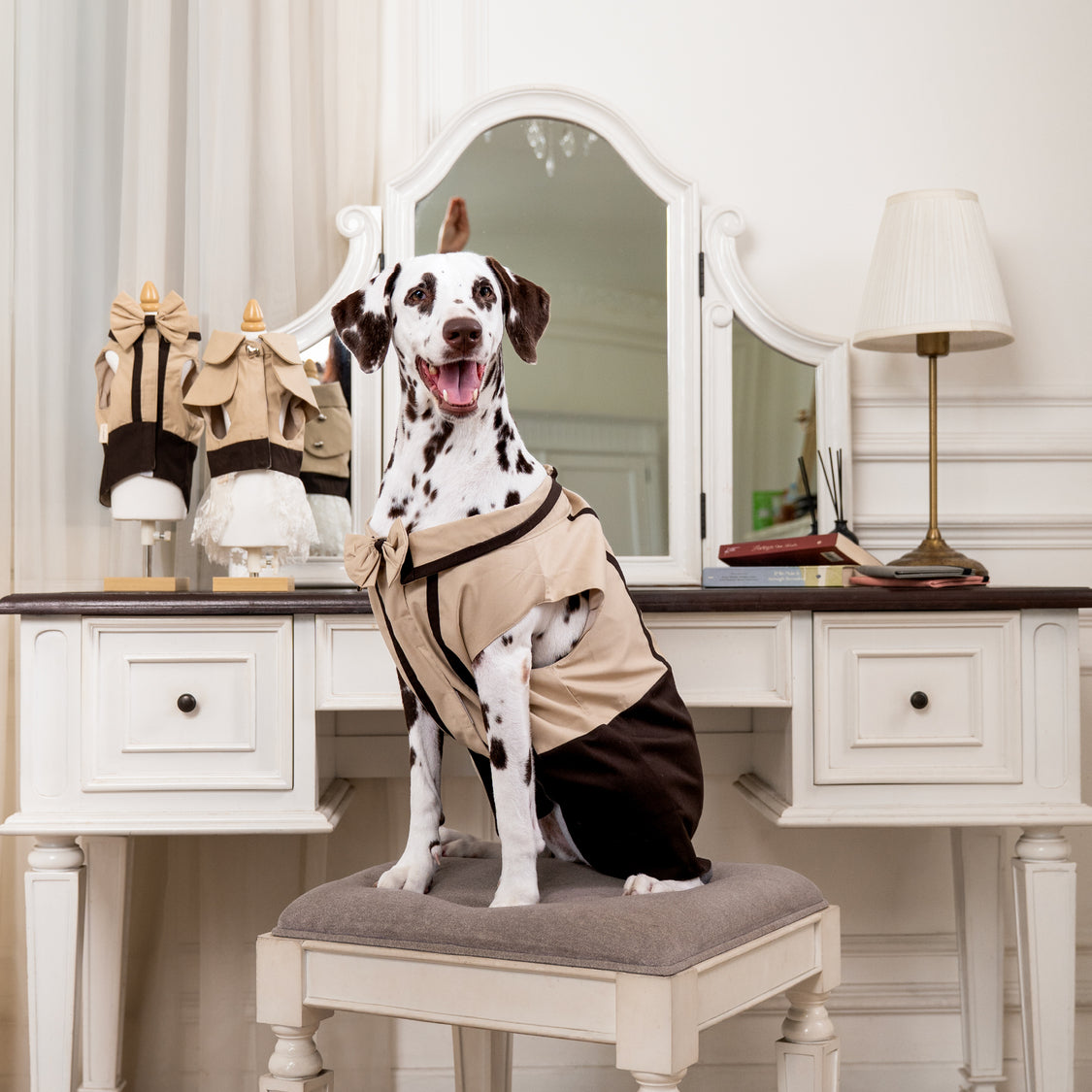 Clawset - European Pet Shirt - Brown