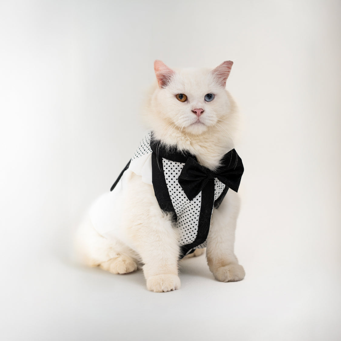 Clawset - Polkadot Pet Tuxedo - White