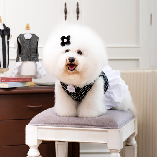 Clawset - Polkadot Pet Dress - Black