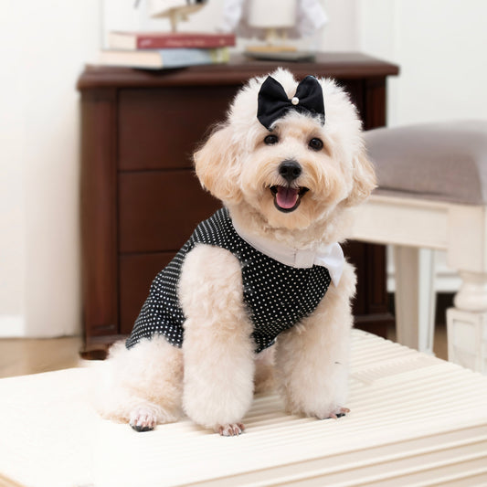 Clawset - Polkadot Pet Shirt - Black