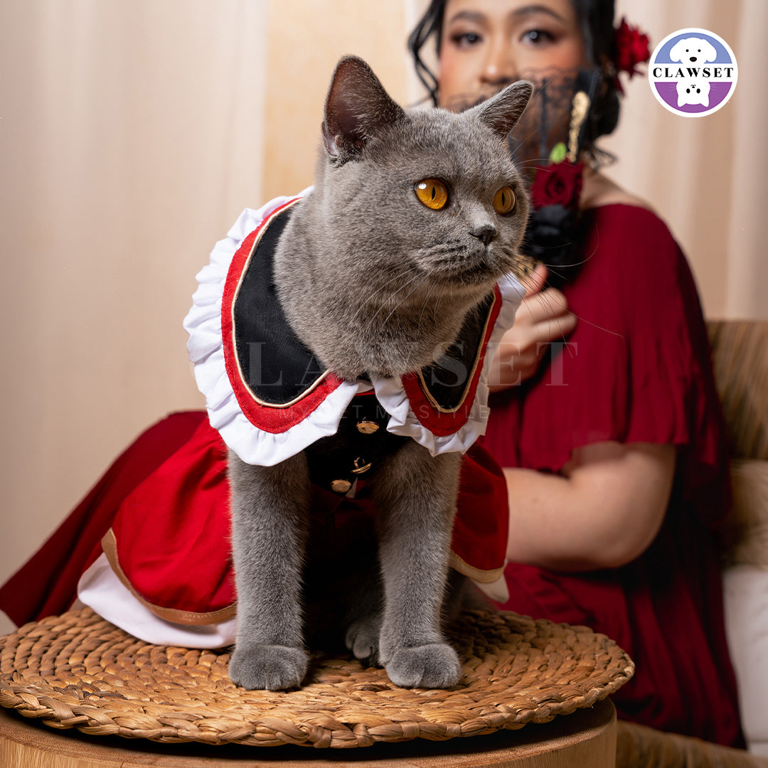 Clawset - Pet Dress - Spain Collection