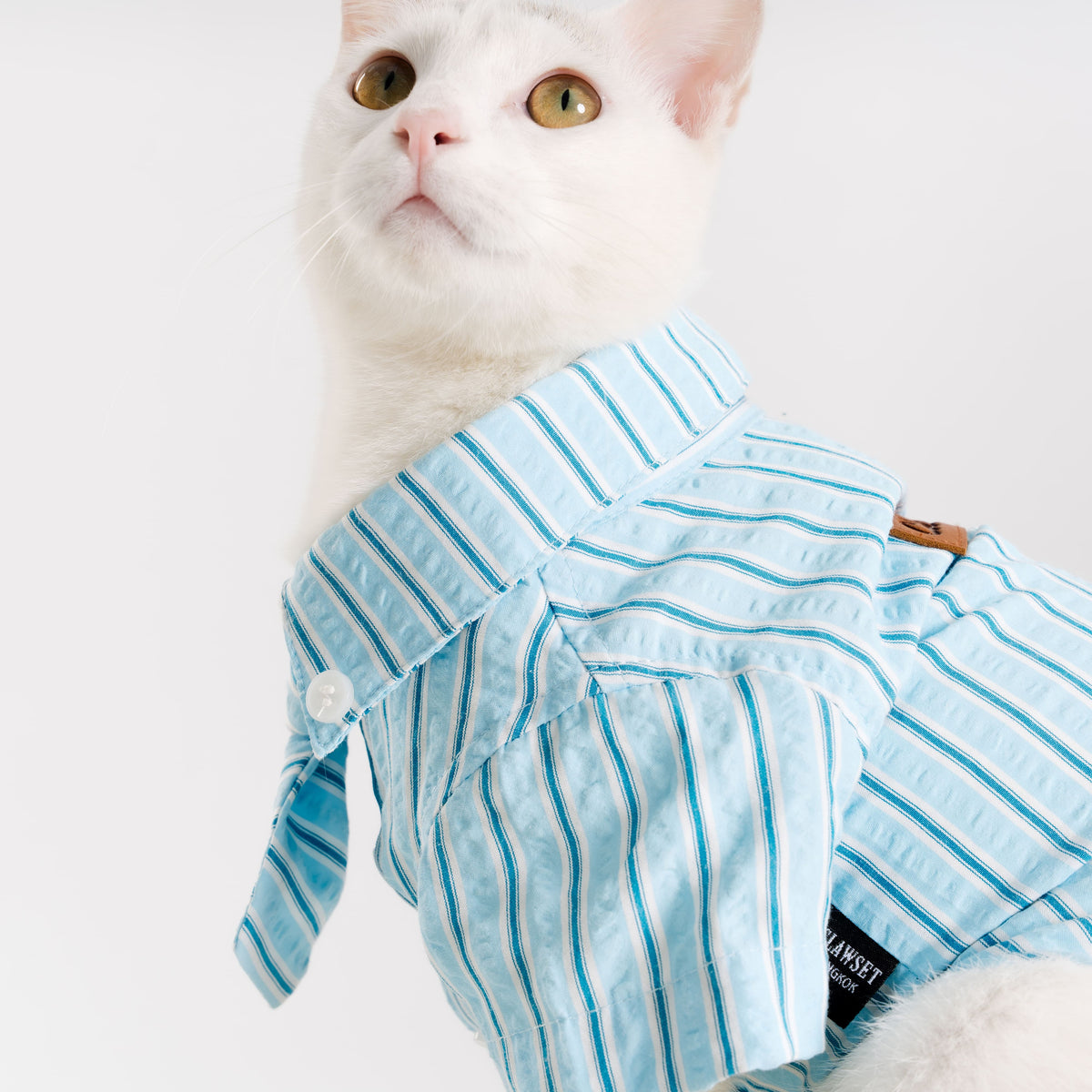 Clawset - Pet Shirt - Mini Boss - Blue