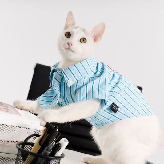Clawset - Pet Shirt - Mini Boss - Blue