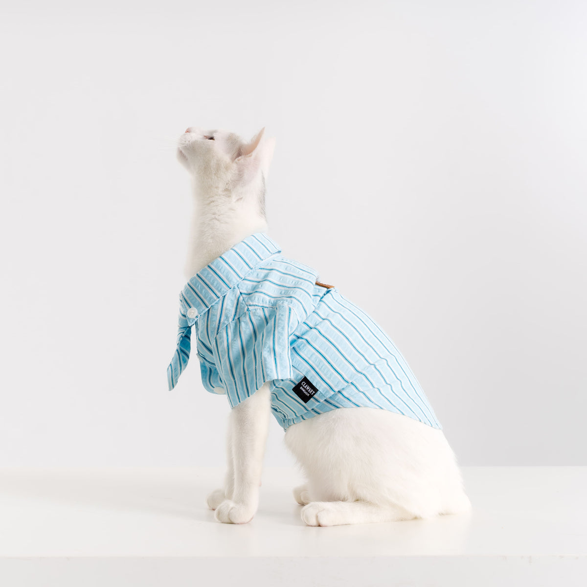 Clawset - Pet Shirt - Mini Boss - Blue