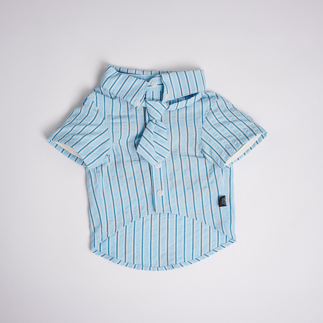 Clawset - Pet Shirt - Mini Boss - Blue