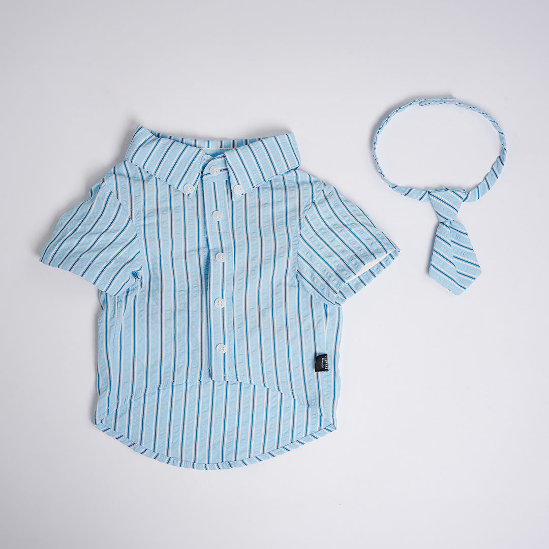 Clawset - Pet Shirt - Mini Boss - Blue