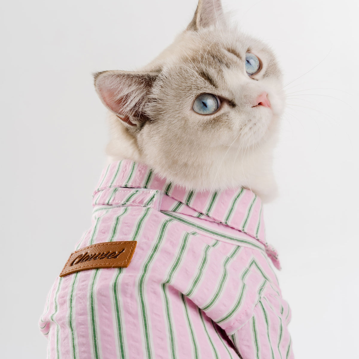 Clawset - Pet Shirt - Mini Boss - Pink