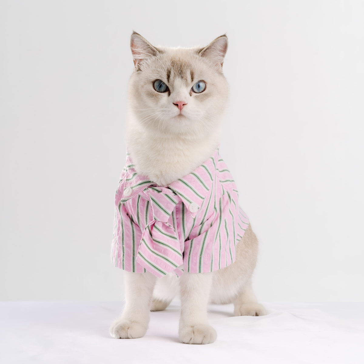 Clawset - Pet Shirt - Mini Boss - Pink