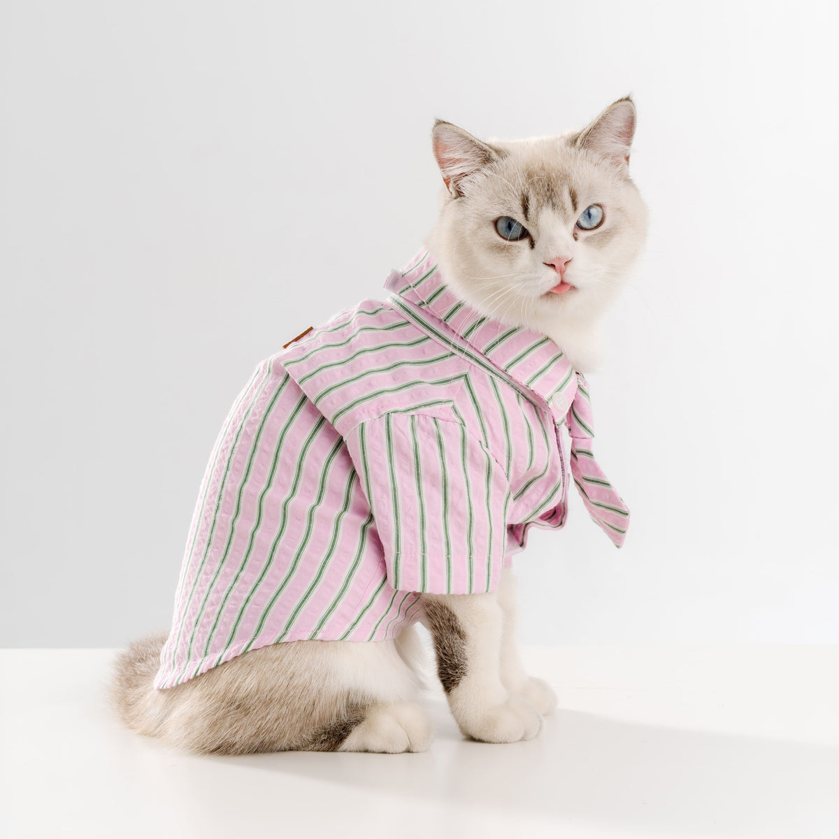 Clawset - Pet Shirt - Mini Boss - Pink