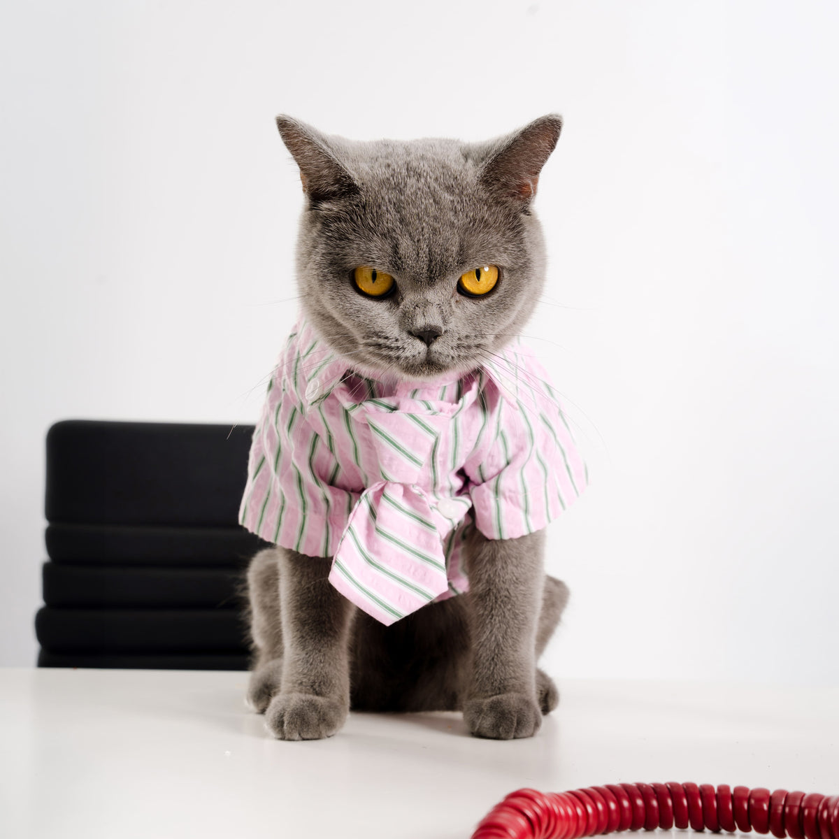 Clawset - Pet Shirt - Mini Boss - Pink