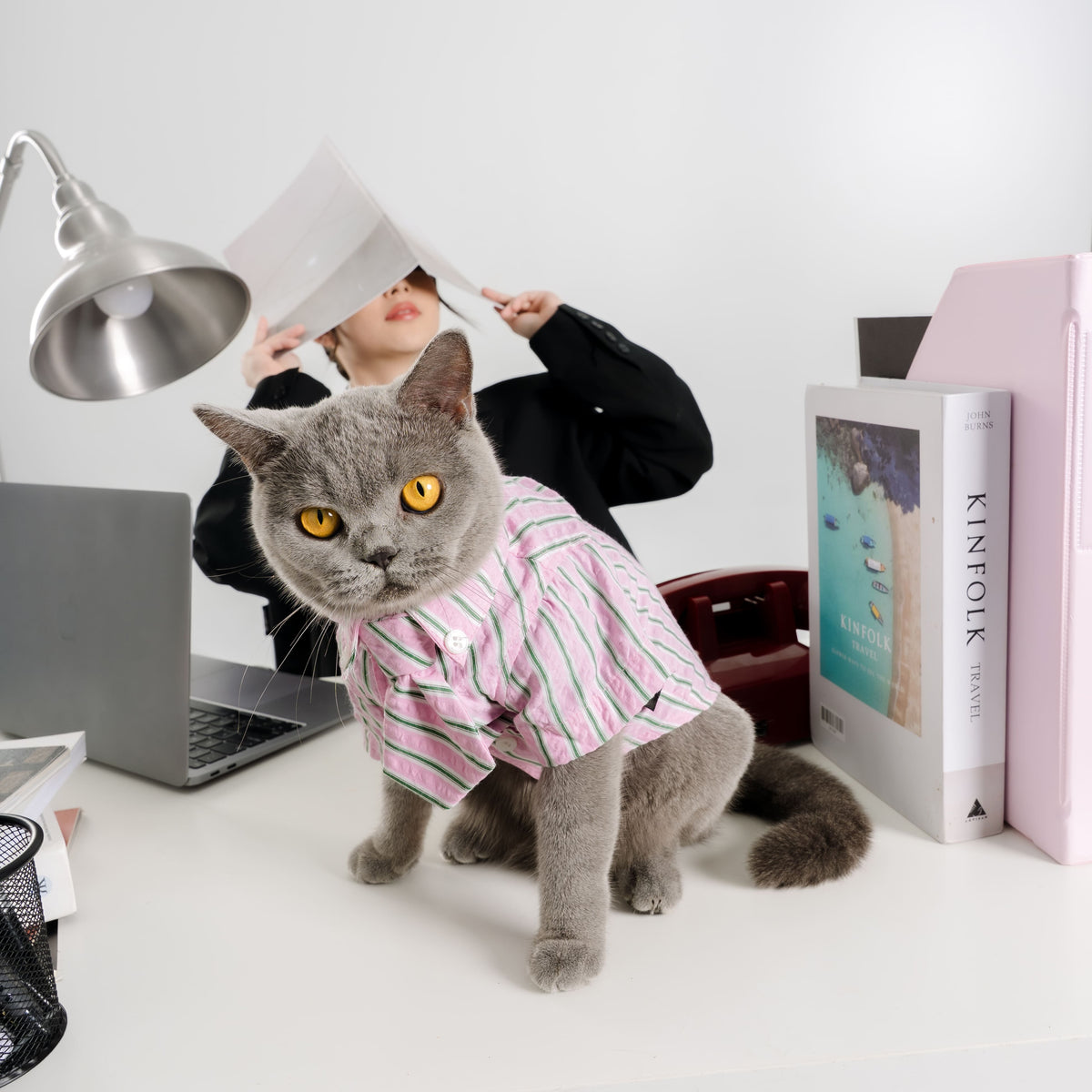 Clawset - Pet Shirt - Mini Boss - Pink