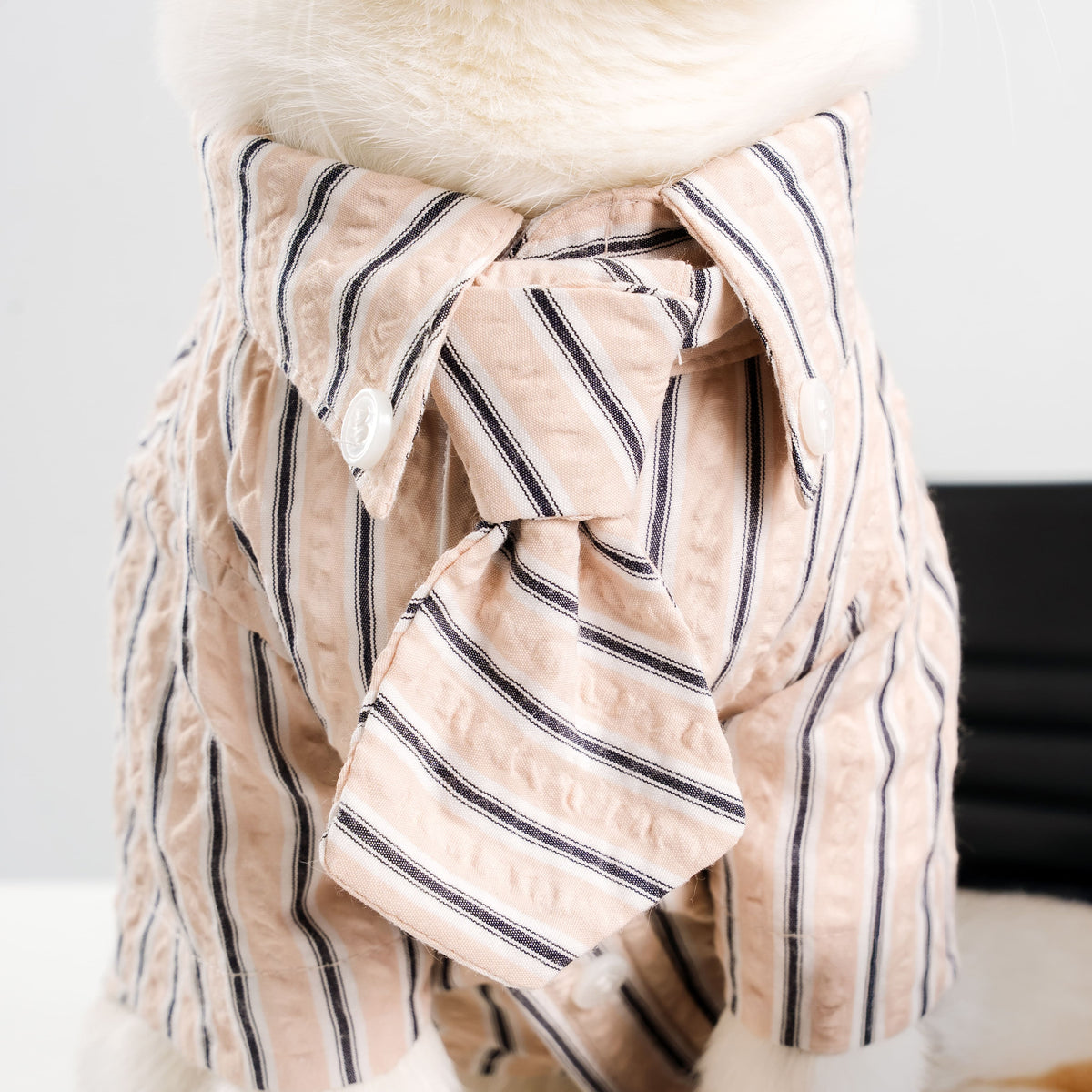 Clawset - Pet Shirt - Mini Boss - Cream