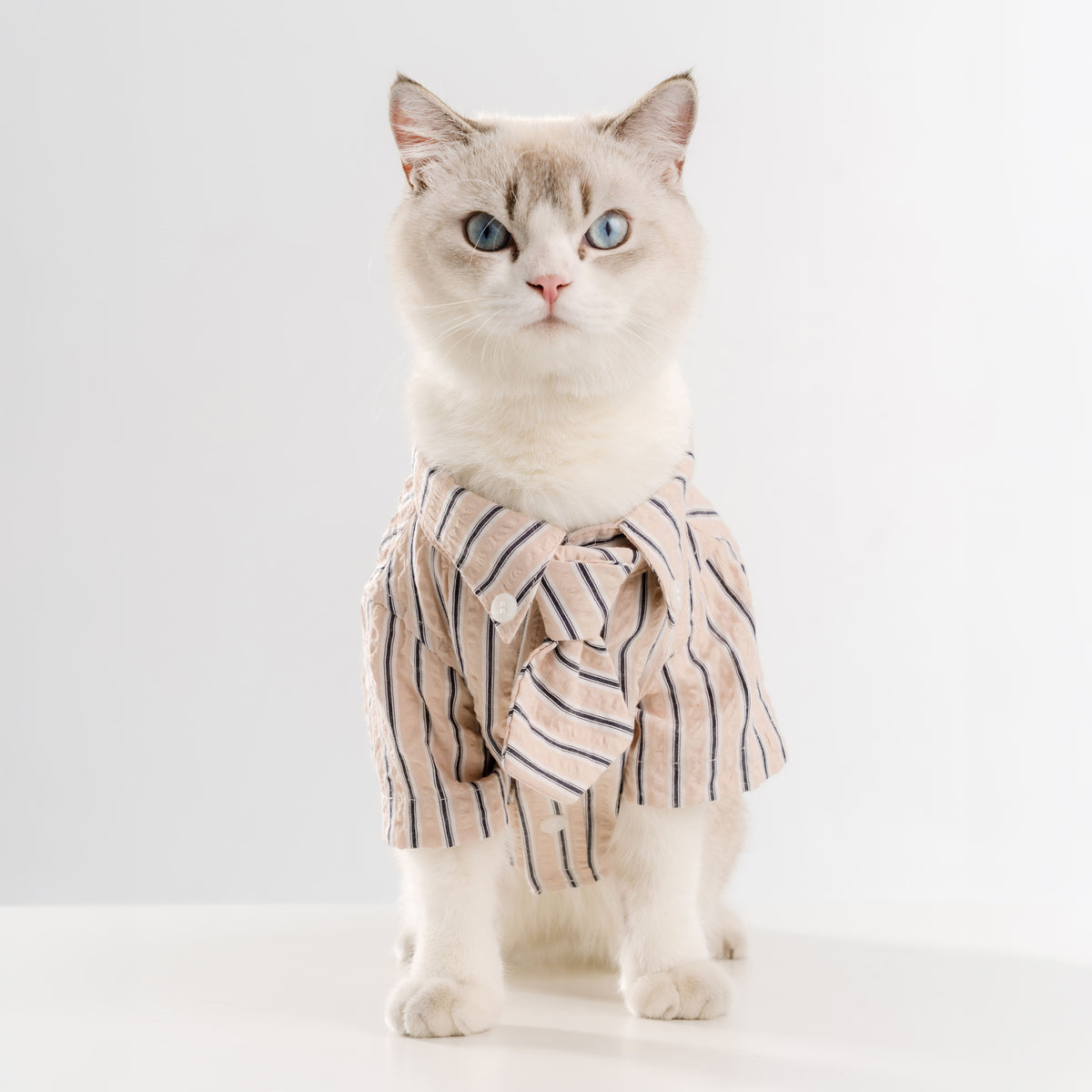 Clawset - Pet Shirt - Mini Boss - Cream