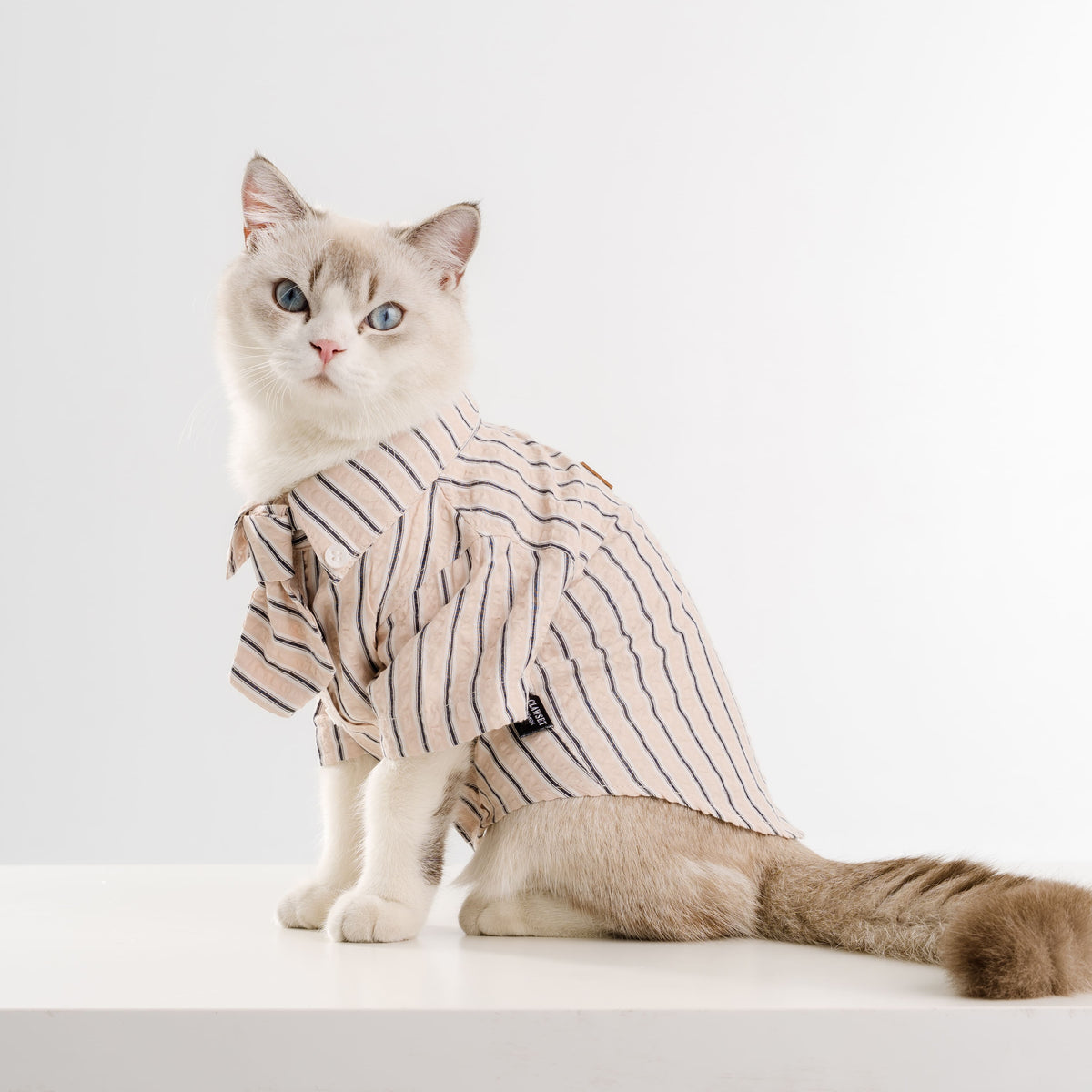 Clawset - Pet Shirt - Mini Boss - Cream