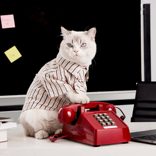 Clawset - Pet Shirt - Mini Boss - Cream