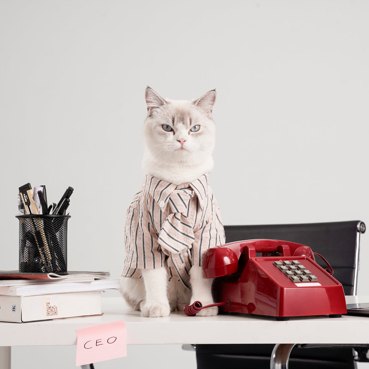Clawset - Pet Shirt - Mini Boss - Cream