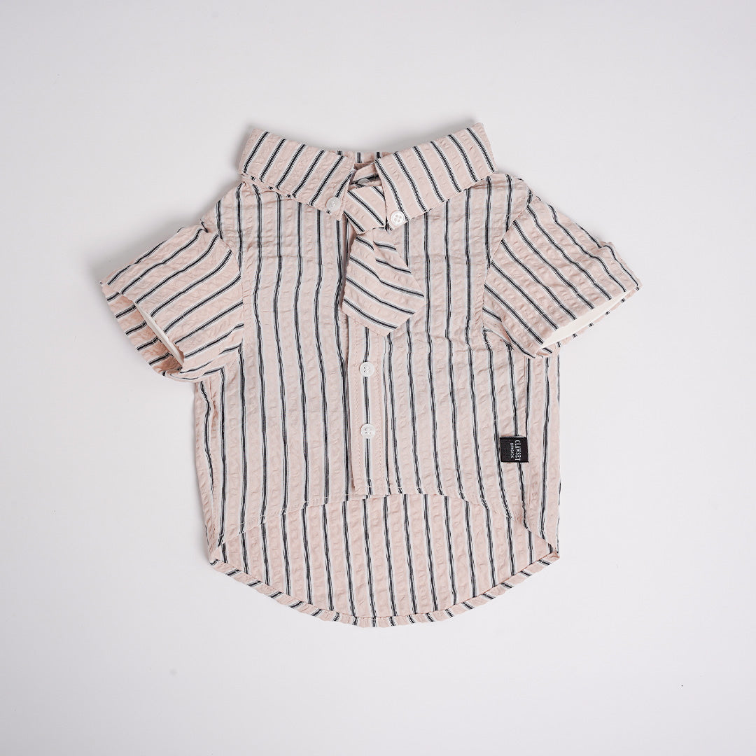 Clawset - Pet Shirt - Mini Boss - Cream