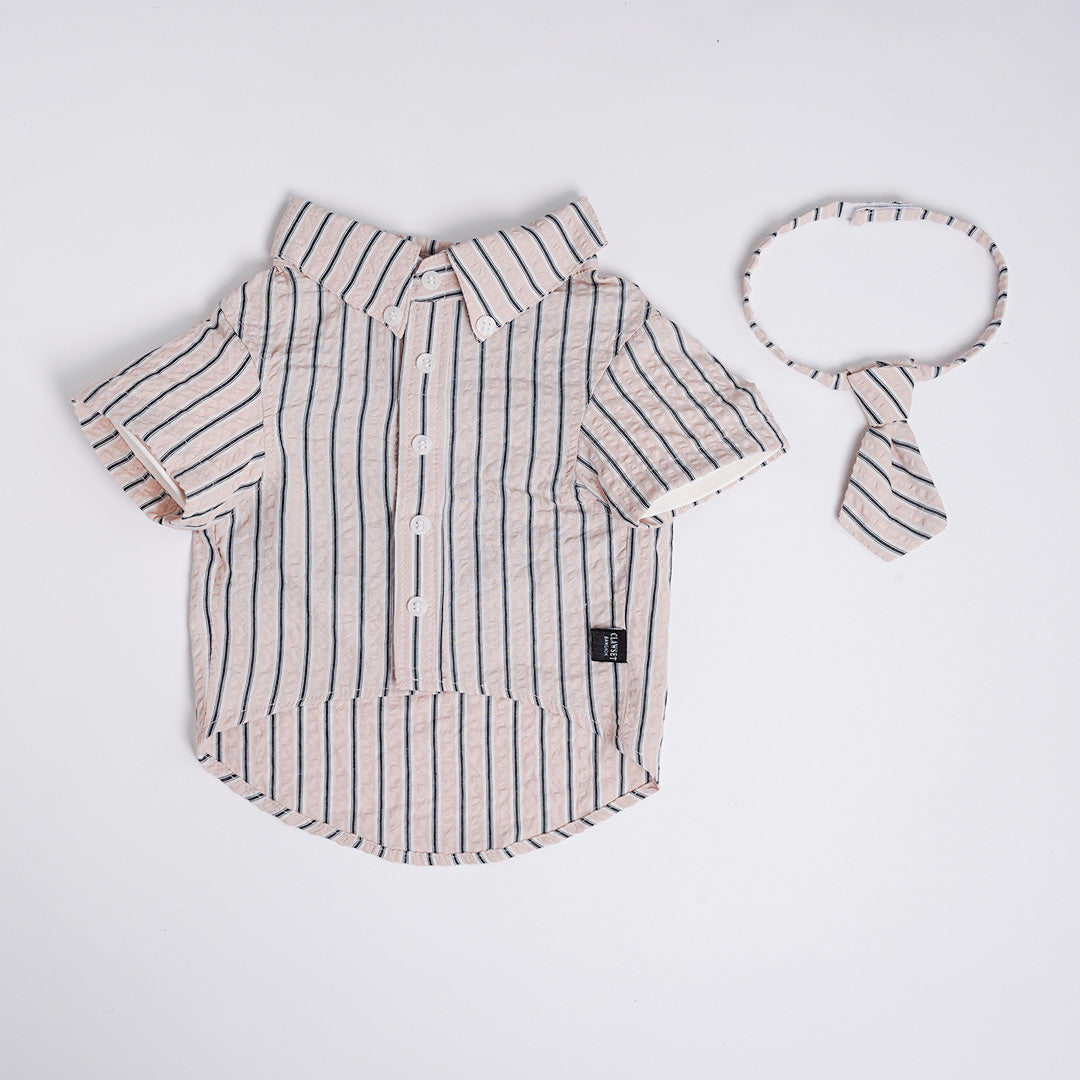Clawset - Pet Shirt - Mini Boss - Cream