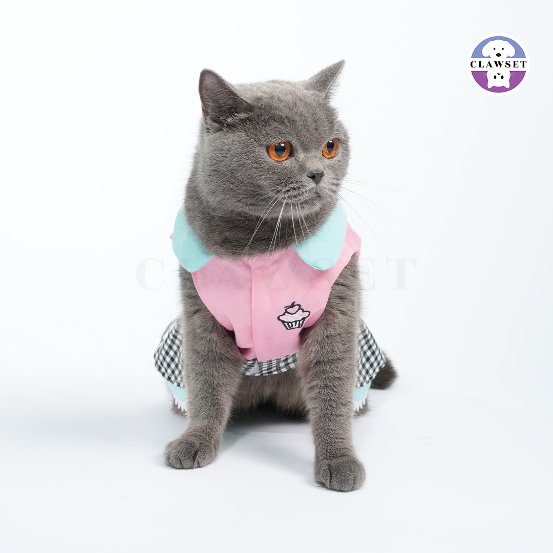 The '50s Diner Pet Dress
