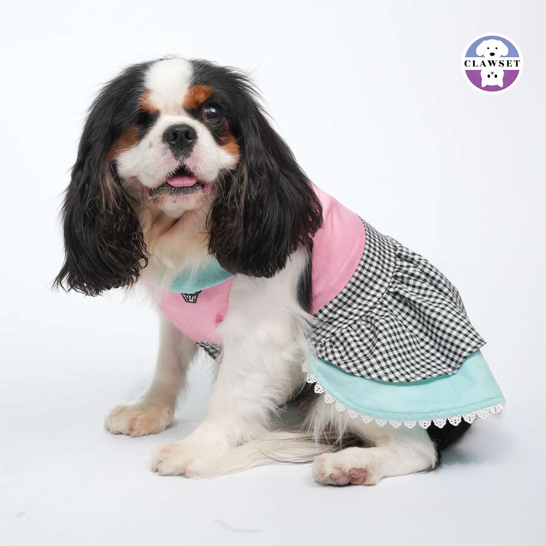 The '50s Diner Pet Dress