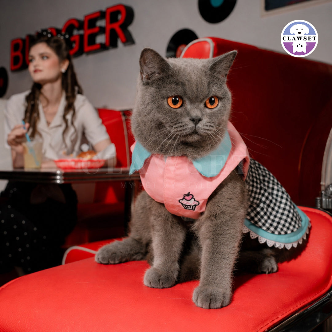 The '50s Diner Pet Dress