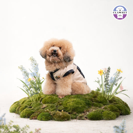 Clawset - Adventure Series Pet Shirt - Beige