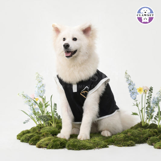 Clawset - Adventure Series Pet Shirt - Black