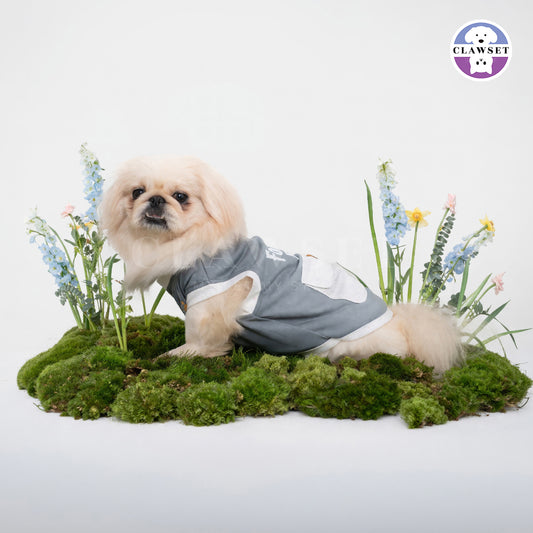 Clawset - Adventure Series Pet Shirt - Blue