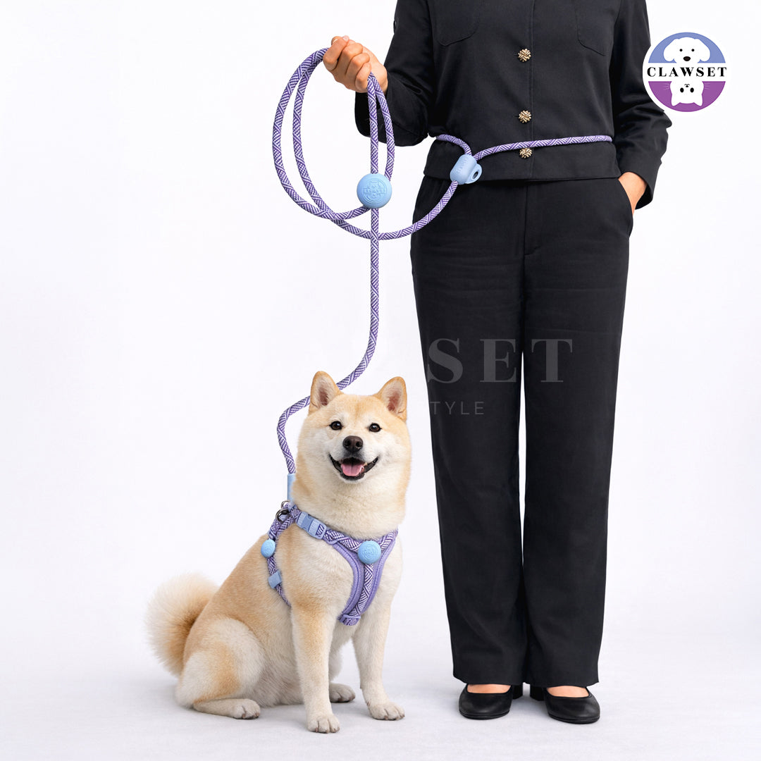 Clawset - All In One Leash