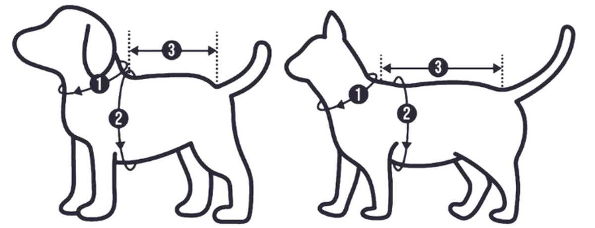 Cara mengukur anjing dan kucing: 1 lingkar leher, 2 lingkar dada, 3 panjang punggung