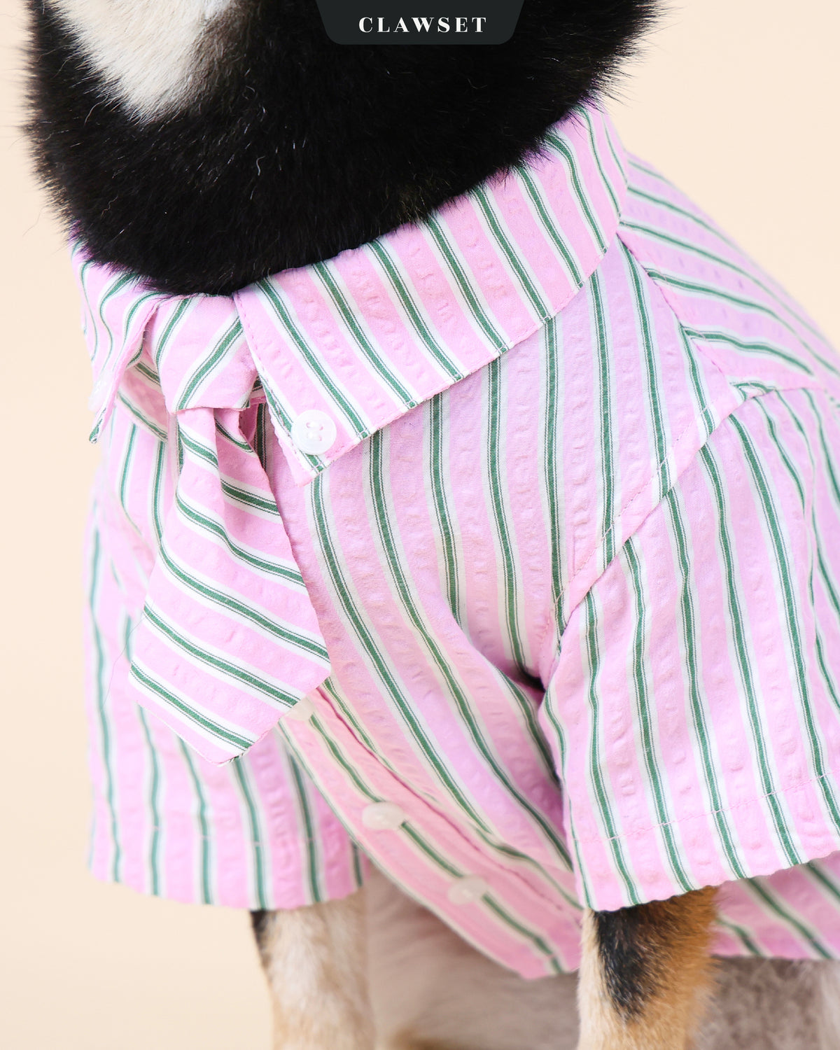 Mini Boss Pet Shirt – Pink