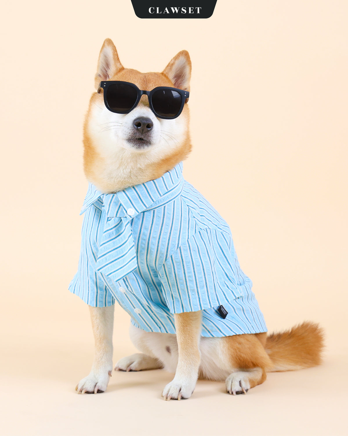 Kemeja Anjing & Kucing Mini Boss – Biru
