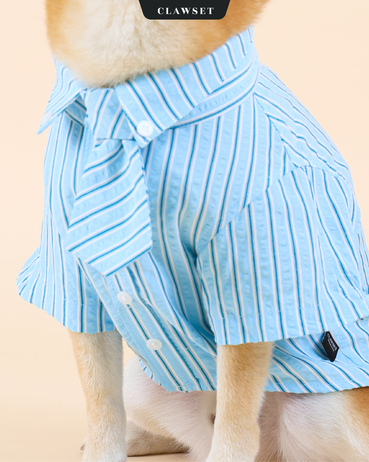 Kemeja Anjing & Kucing Mini Boss – Biru